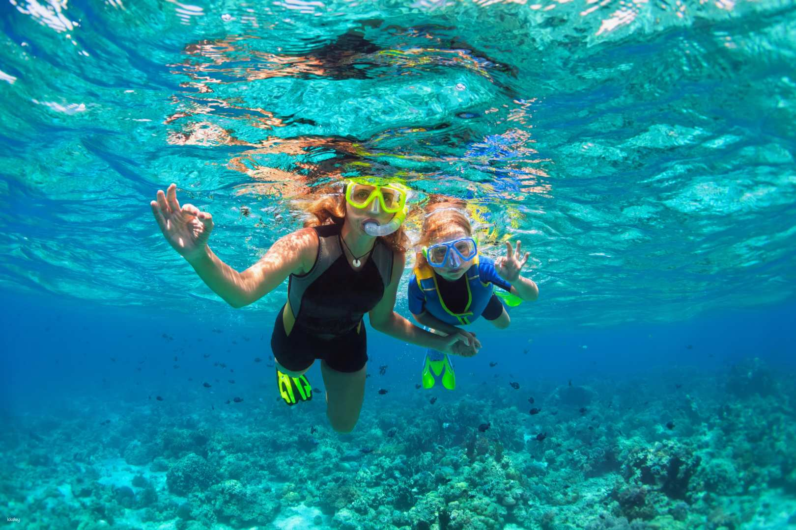 a75fefb3-23a5-450f-ad47-a44fc547c7d4_dreamer-island-snorkeling-day-tour-with-lunch-optional-water-activities-hotel-transfer-sabah-malaysia